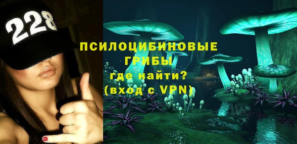 ешки Арсеньев